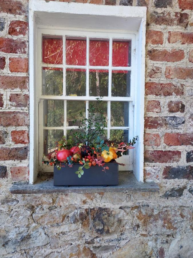 Lynam Cottage Ashford Kültér fotó